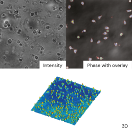 3D digital holographic microscope imaging software